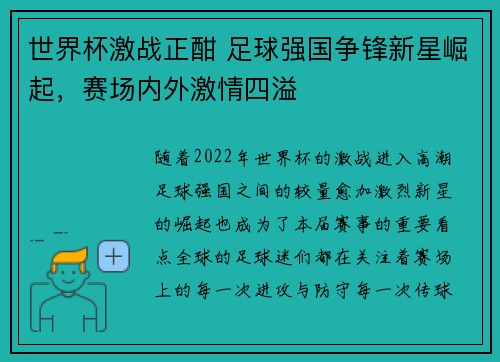 世界杯激战正酣 足球强国争锋新星崛起,赛场内外激情四溢